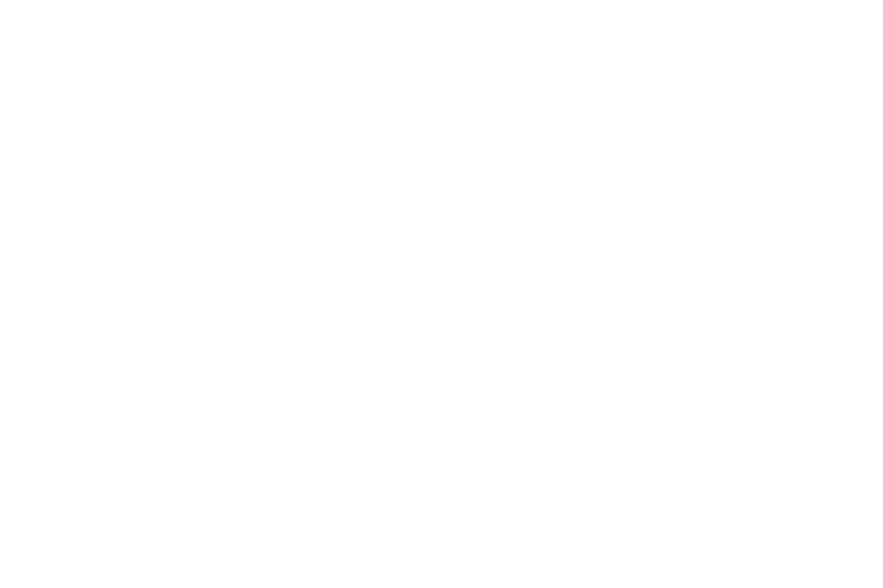 Logo of Ashton Woods