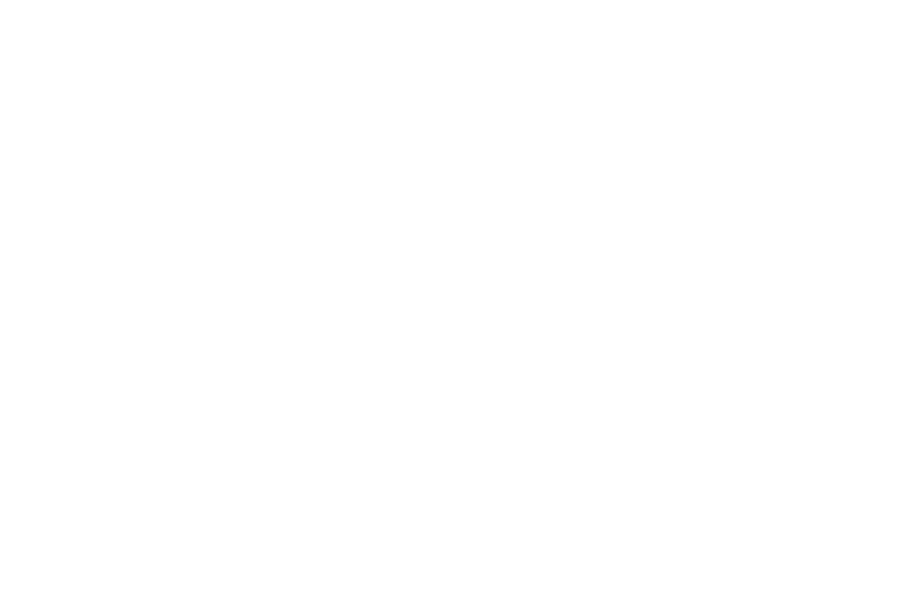 Logo of Perry Homes